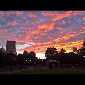 Meet your Posher, Francesca